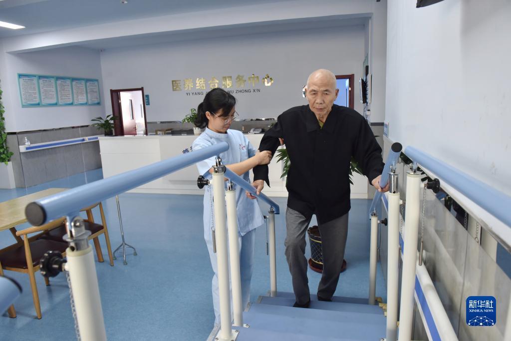 柏林登录
